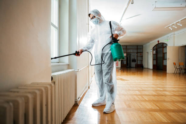 Best Fumigation Services  in Vandalia, OH